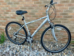 Hybrid Fuji Monterey