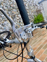 Hybrid Fuji Monterey