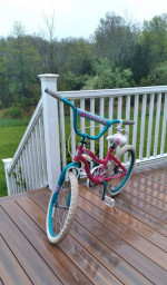 Dynacraft 20" Charmer Bike