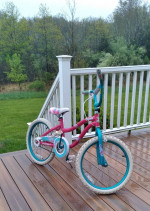 Dynacraft 20" Charmer Bike