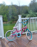 Dynacraft 20" Charmer Bike