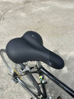 Fuji Arcadia 12-speed Road Bike 58 cm