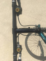 Bianchi Nyala
