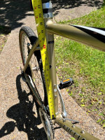 Specialized Expedition mens