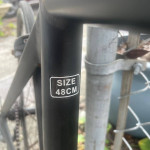 Amico Racing Bike With 48 cm Aluminum Frame, Carbon Fiber Forks