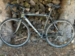 Bianchi D2 Concept Cross