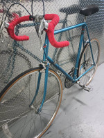 1980 Univega Viva Sport - XL/64 cm Frame