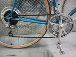 1980 Univega Viva Sport - XL/64 cm Frame