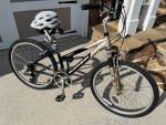 Ladies Schwinn