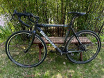 Bianchi D2 Concept Cross