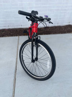 Trek Wahoo 24 - New kids bike