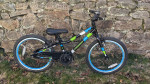 Guardian ETHOS 20 Inch Small Bike (5-8 years, 43-51 inches)