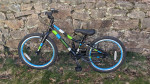 Guardian ETHOS 20 Inch Small Bike (5-8 years, 43-51 inches)