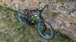 Guardian ETHOS 20 Inch Small Bike (5-8 years, 43-51 inches)