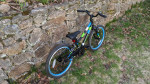 Guardian ETHOS 20 Inch Small Bike (5-8 years, 43-51 inches)