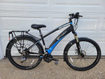 Emotion neo electric mountain bike Medium