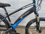 Emotion neo electric mountain bike Medium
