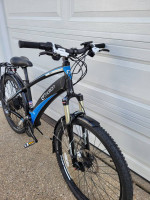 Emotion neo electric mountain bike Medium