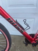 Jamis Boss Cruiser