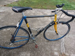 Trek 2100 Carbon Road Bike 58cm needs spokes replaced - $150