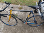 Trek 2100 Carbon Road Bike 58cm needs spokes replaced - $150