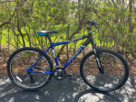 Trek 3700 (2 same bikes)