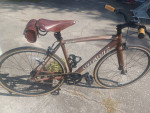 New Specialized Langster Bicycle Fixie Bike 52cm  - $300 FIRM