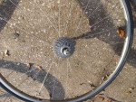20 Bicycle Wheels 700 2 Carbon Sram S40 Mavic Bontrager Campagnolo