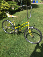 Western flyer buzz bike-All original adult size/tall child bicycle