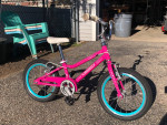 16 inch Guardian Ethos Bicycle (Pink)