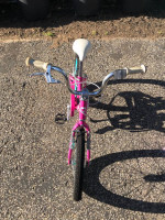 16 inch Guardian Ethos Bicycle (Pink)
