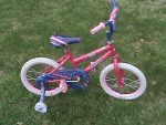 Girls Rallye Glitter 16" Kids Bike