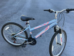 24’’ bike