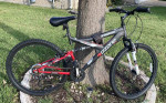 Ozone 21-Speed Mountain Bike