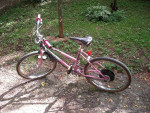 1986 Murray Street Machine Girls Bike