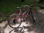 1986 Murray Street Machine Girls Bike
