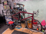 specialized sirrus mens high quality road bike red in color
