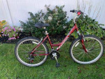 raleigh sc 30 womens high quality comfort bike red in color