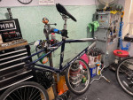 specialized expedition mens comfort bike real nive and highest quality