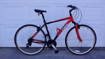 TREK Verve 2 SE, Mens Large 20"Alpha Aluminum Gloss Red / Black
