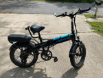 2 Passenger Folding Electric Bike