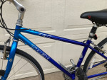 Trek 730 Multitrack