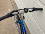Trek 730 Multitrack