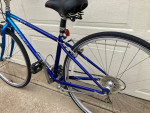 Trek 730 Multitrack