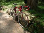 2000 Schwinn Super Sport - Mens Road Bike