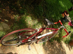 2000 Schwinn Super Sport - Mens Road Bike