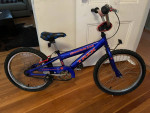 Trek Kids Bike