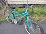 Ladies Northwoods Trail Seeker Mountain Bike