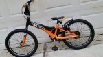 Trek Jet 20 Juvenile Mountain Bike