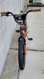 Trek Jet 20 Juvenile Mountain Bike